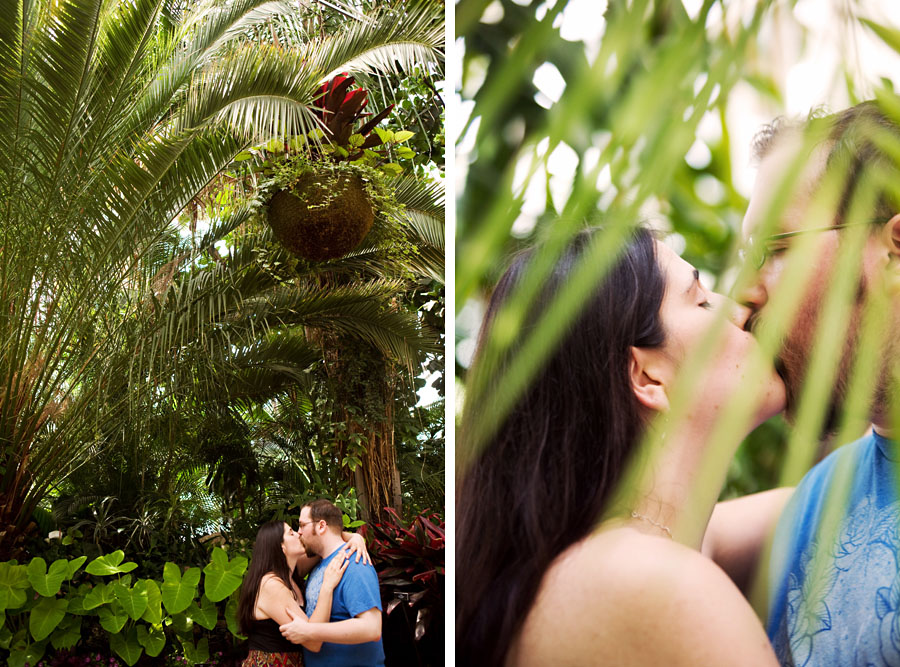 phipps engagement portraits